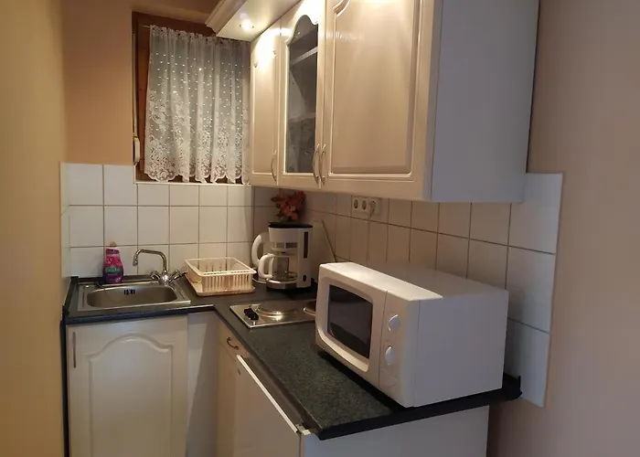 Apartament Ildiko Appertements *