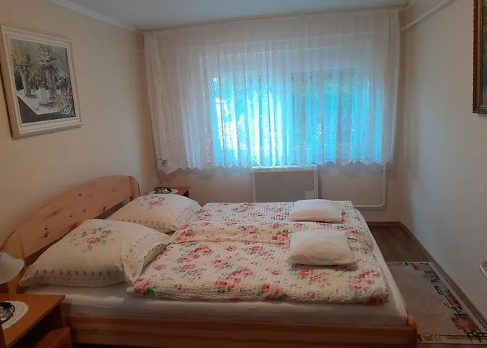 Ildiko Appertements *
